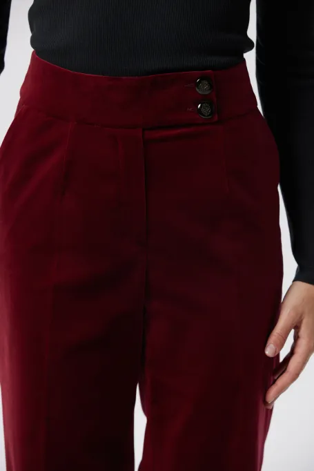 Samthosen für den Anzug