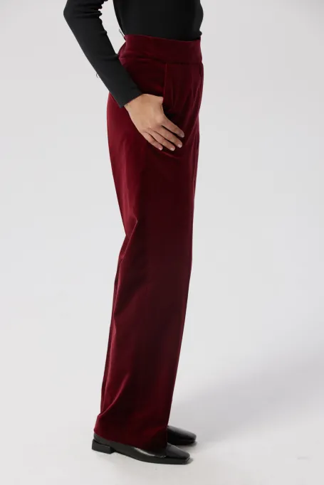 Samthosen für den Anzug