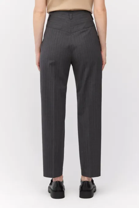 Graue Wollhose mit Nadelstreifen für Anzug - Patrizia Aryton