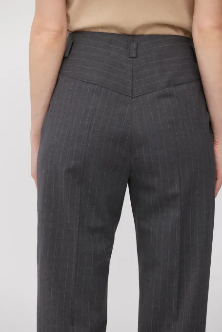 Graue Wollhose mit Nadelstreifen für Anzug - Patrizia Aryton